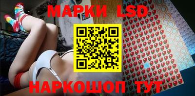 стафф Будённовск