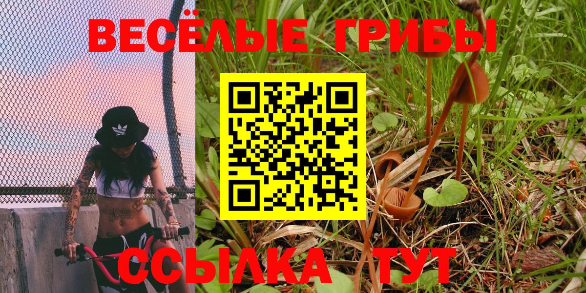 Галлюциногенные грибы Psilocybine cubensis Чехов